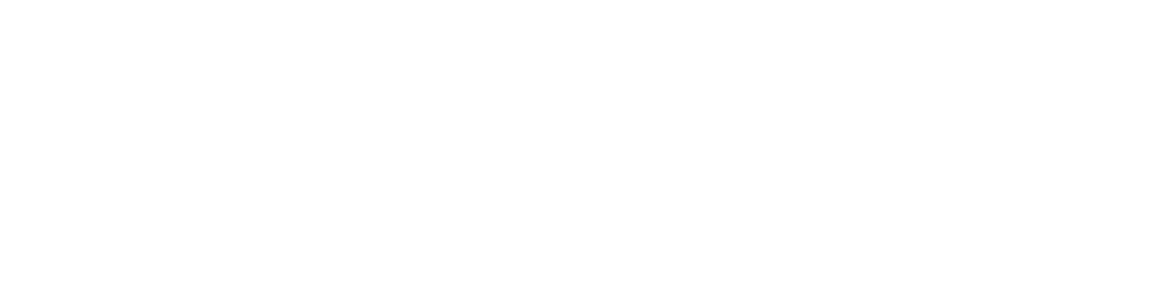 Company Logo 1